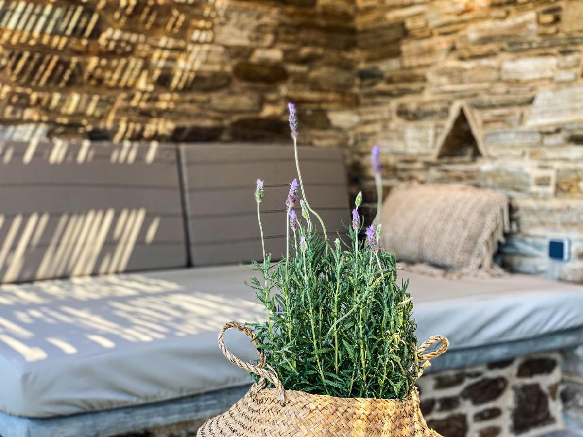 Aerino Seaside Villa Agios Romanos Ngoại thất bức ảnh