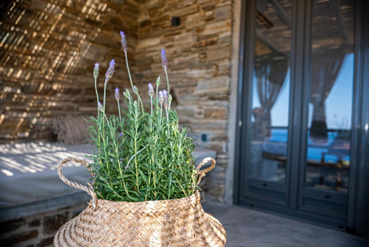 Aerino Seaside Villa Agios Romanos Ngoại thất bức ảnh